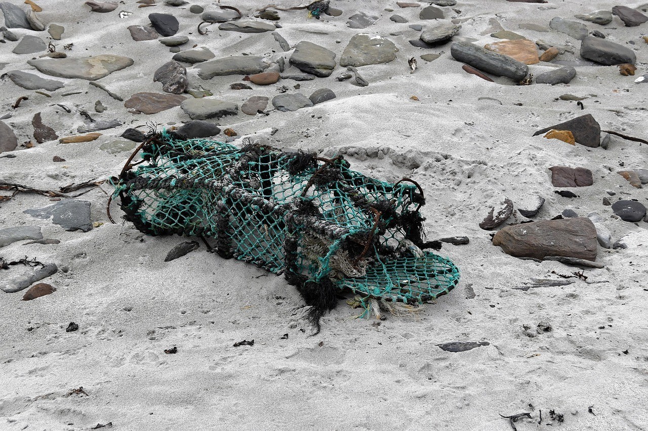 黃金河虎老咬魚咋辦