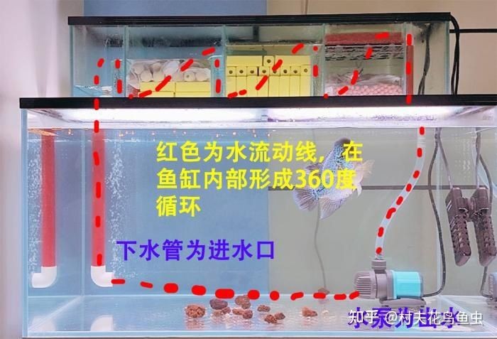 魚缸過濾系統過濾系統簽賞魚缸過濾系統方法圖解：如何防止魚缸溢水
