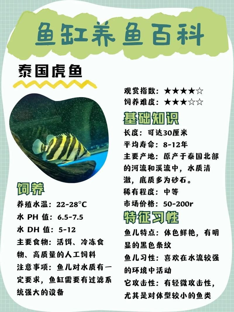 虎刺魚有幾種圖片 虎刺魚有幾種圖片 龍魚論壇 第18張