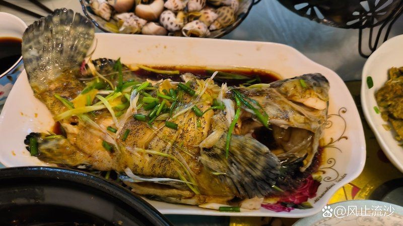虎刺魚有幾種圖片 虎刺魚有幾種圖片 龍魚論壇 第35張
