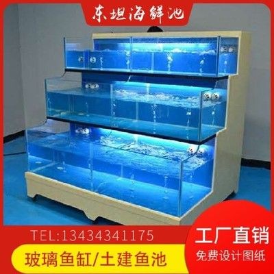 海鮮魚(yú)缸設(shè)計(jì)的基礎(chǔ)知識(shí)：海洋生物學(xué)與海洋生物學(xué)與海洋生物學(xué)與海鮮養(yǎng)殖技術(shù)指南
