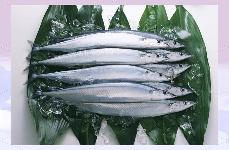如何區(qū)分高背金龍和寶石金龍？