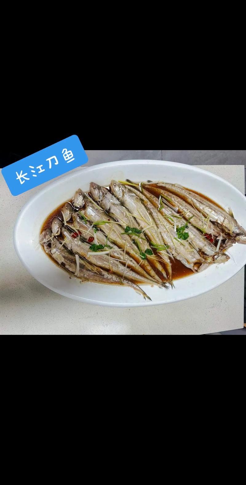 如何區(qū)分高背金龍和寶石金龍？
