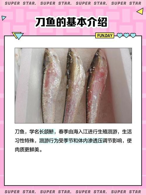 如何區(qū)分高背金龍和寶石金龍？