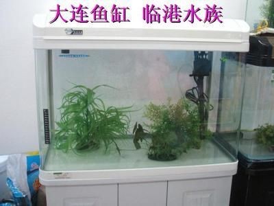 觀賞魚缸價格多少（觀賞魚缸價格一般多少）