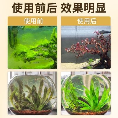 魚缸綠藻怎么徹底消滅最簡(jiǎn)單方法視頻（魚缸綠藻怎么徹底消滅）