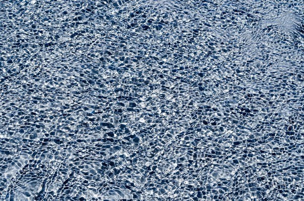 藍底古典過背金龍魚金底