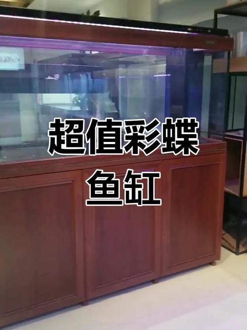 彩蝶龍魚缸價格表和圖片大全