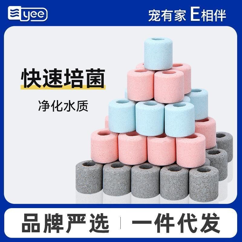 中華尋龍魚的價格