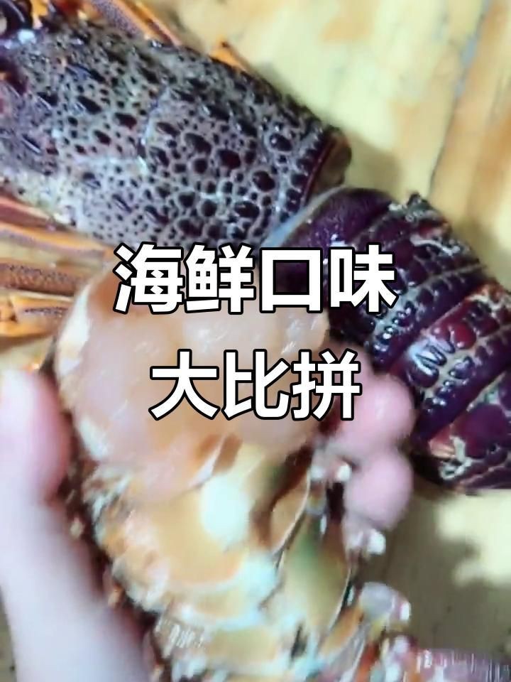 紅龍澳龍的區別 龍魚論壇 第7張 紅龍澳龍的區別 紅龍澳龍的區別 龍魚論壇 第7張