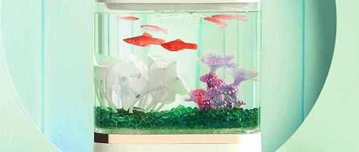 泓御智捷魚缸：泓御智捷智能家居產品牌對比分析