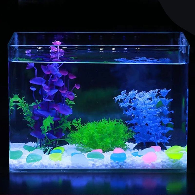 懷化龍魚魚缸：懷化龍魚魚缸，打造家居水族藝術的完美選擇