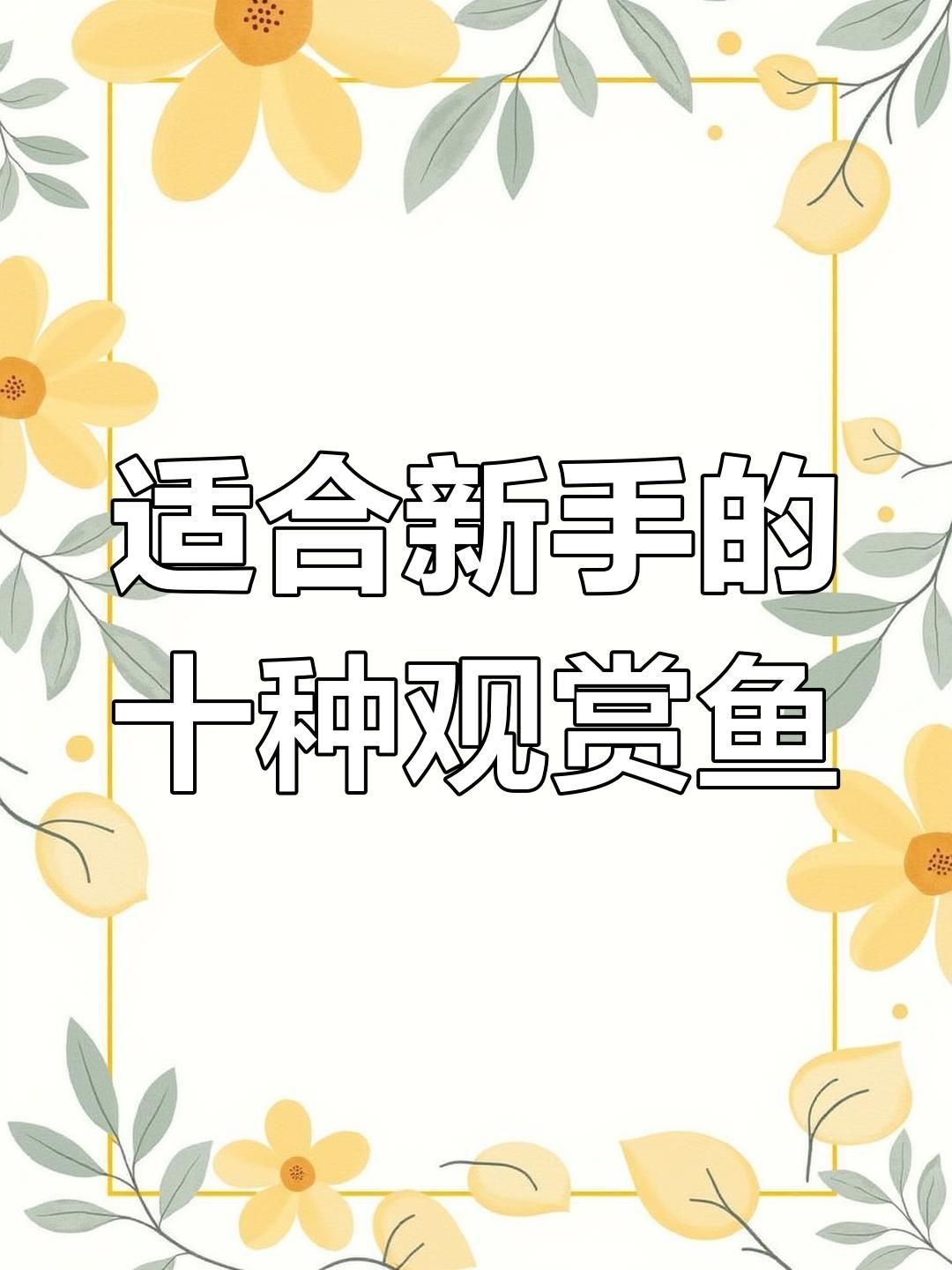觀賞魚哪種魚最好養(yǎng)