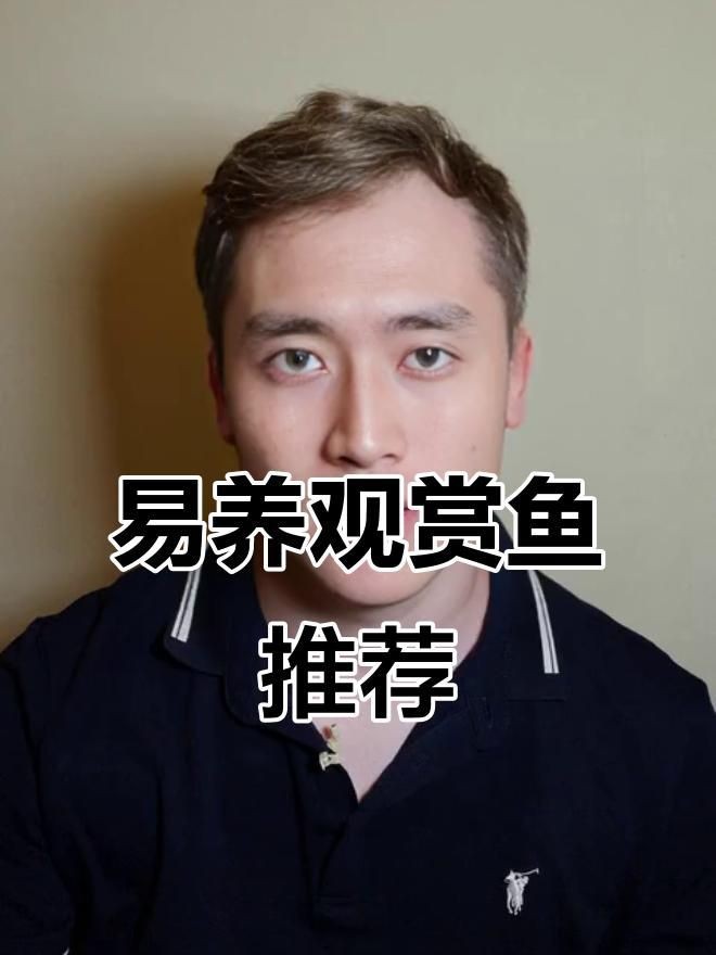 觀賞魚哪種魚最好養(yǎng)