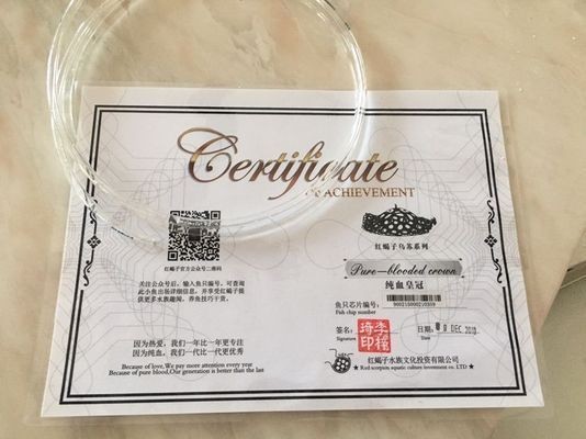 閩江魚缸廠家直銷電話地址：閩江魚缸廠家直銷地址詳情