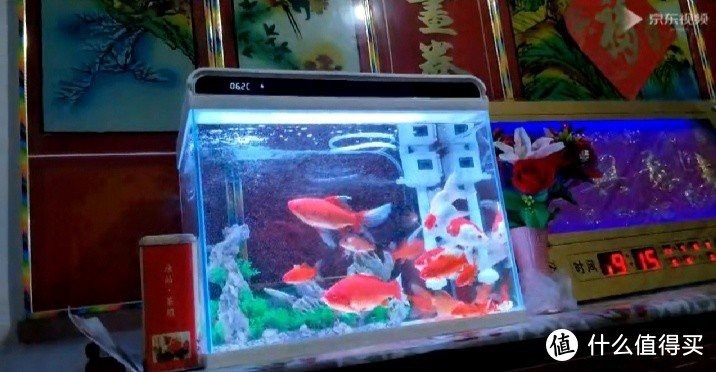 森森魚缸官網圖片