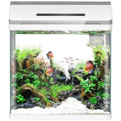 森森魚缸好在哪里：森森魚缸與其他品牌的對(duì)比，森森魚缸的性價(jià)比如何