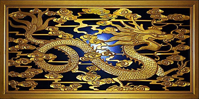 能提供更多金龍高清大圖嗎？