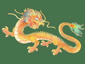能提供更多金龍高清大圖嗎？
