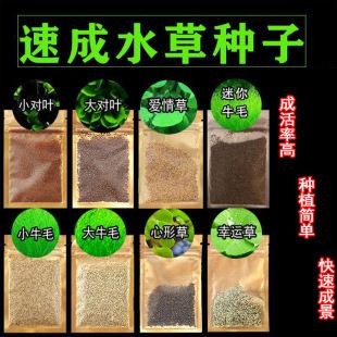 魚缸彩葉草圖片欣賞:魚缸彩葉草圖片欣賞詳情 魚缸百科 第1張 魚缸彩葉草圖片欣賞:魚缸彩葉草圖片欣賞詳情 魚缸彩葉草圖片欣賞:魚缸彩葉草圖片欣賞詳情 魚缸百科 第1張