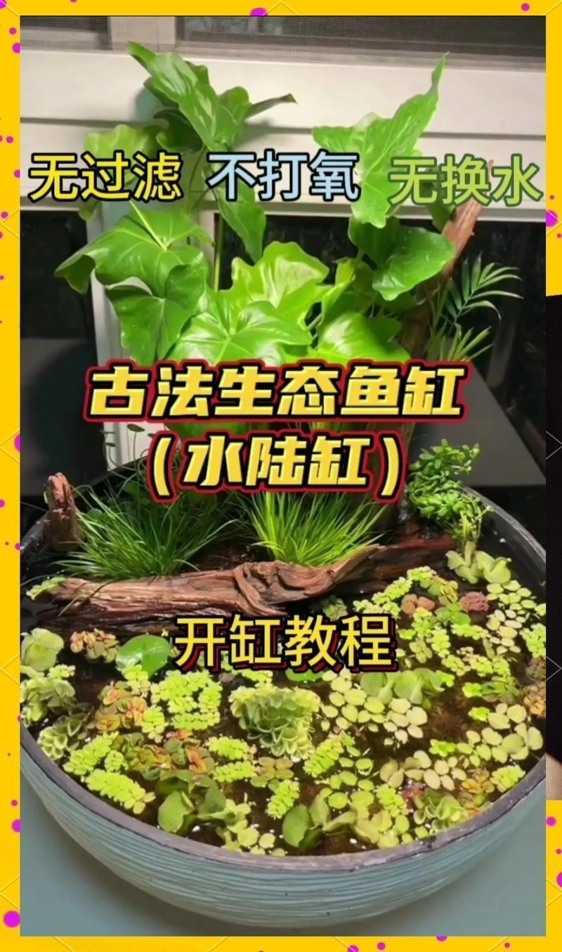 龍魚缸沉木放多少合適？