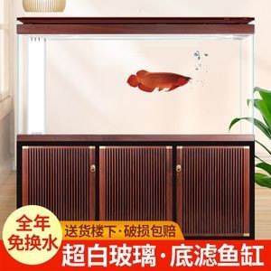 龍魚(yú)防掉眼的遮光簾叫什么：龍魚(yú)防掉眼的遮光簾叫什么龍魚(yú)防掉眼的遮光簾叫什么