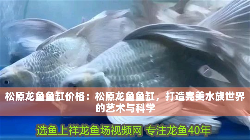 <strong><mark>松原</mark></strong>龍魚魚缸價格：<strong><mark>松原</mark></strong>龍魚魚缸，打造完美水族世界的藝術(shù)與科學