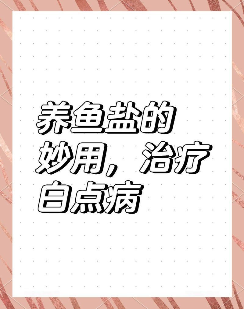觀賞魚殺菌鹽能凈水嗎 龍魚論壇 第11張 觀賞魚殺菌鹽能凈水嗎 觀賞魚殺菌鹽能凈水嗎 龍魚論壇 第11張