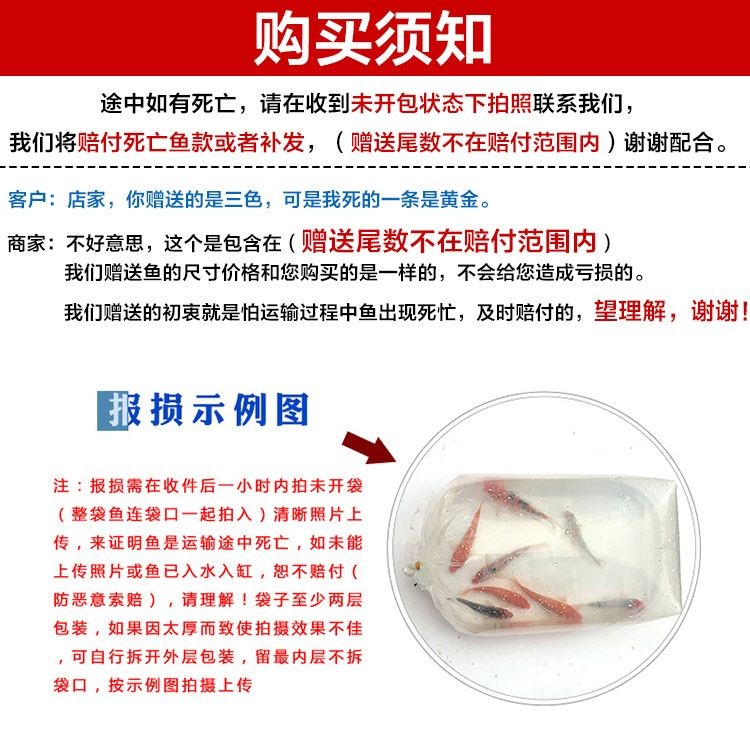 金牛區(qū)愛心觀賞魚類經(jīng)營(yíng)部（金牛區(qū)愛心觀賞魚類經(jīng)營(yíng)部地址）