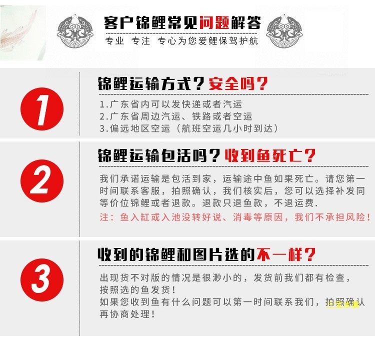 金牛區(qū)愛心觀賞魚類經(jīng)營(yíng)部（金牛區(qū)愛心觀賞魚類經(jīng)營(yíng)部地址）