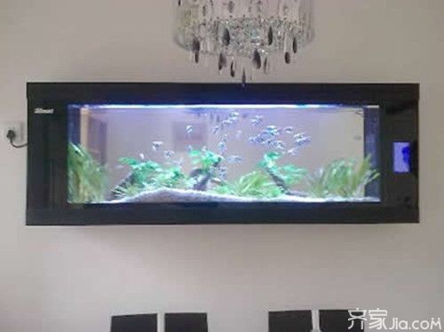 魚缸尺寸與養(yǎng)魚技巧探討魚缸尺寸對(duì)養(yǎng)魚的影響：如何根據(jù)魚缸尺寸來進(jìn)行水草造景和魚類搭配