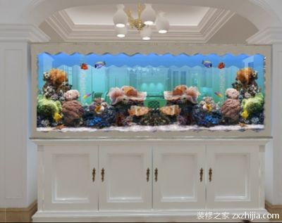 魚缸尺寸與養(yǎng)魚技巧探討魚缸尺寸對(duì)養(yǎng)魚的影響：如何根據(jù)魚缸尺寸來(lái)進(jìn)行水草造景和魚類搭配