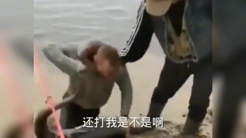 觀賞魚銀鳳 觀賞魚銀鳳 龍魚論壇 第5張