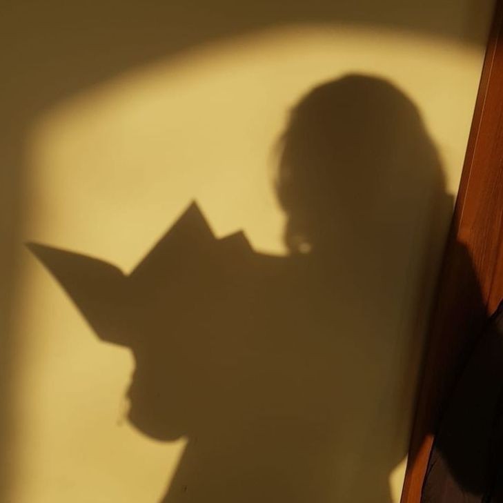 觀賞魚銀鳳 觀賞魚銀鳳 龍魚論壇 第13張