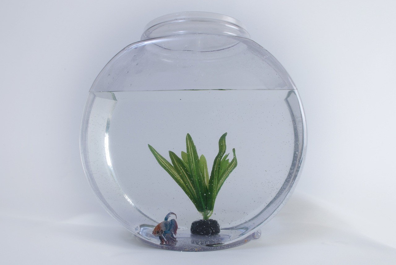 大石橋市福利魚缸維修部（大石橋市福利魚缸維修部電話） 大石橋市福利魚缸維修部（大石橋市福利魚缸維修部電話） 全國水族館企業名錄 第1張