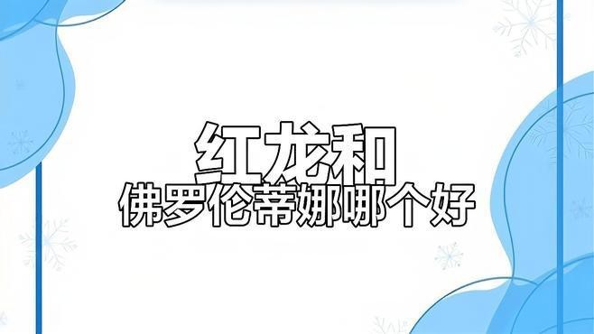 紅龍和蒂娜哪個更適合新手？