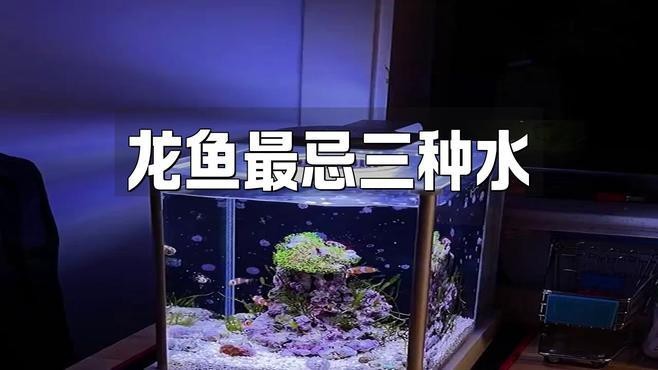 能再詳細(xì)說說龍魚缸的十大忌嗎？