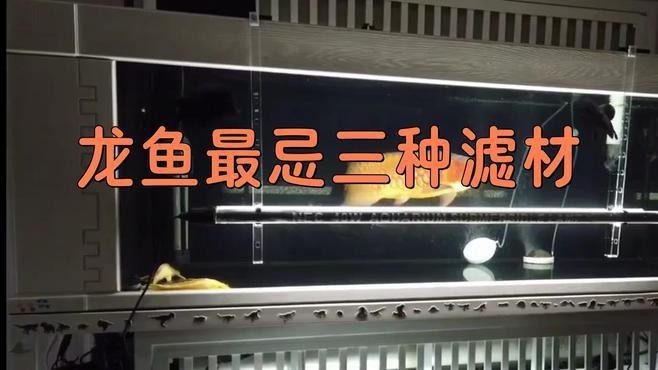 能再詳細(xì)說說龍魚缸的十大忌嗎？