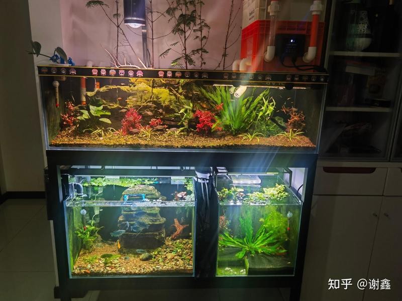 青龍漁業
