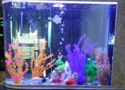 高錳酸鉀、二氧化氯、二氧化氯、鹽水和殺菌燈可以用來消毒：水族箱消毒的基本原理