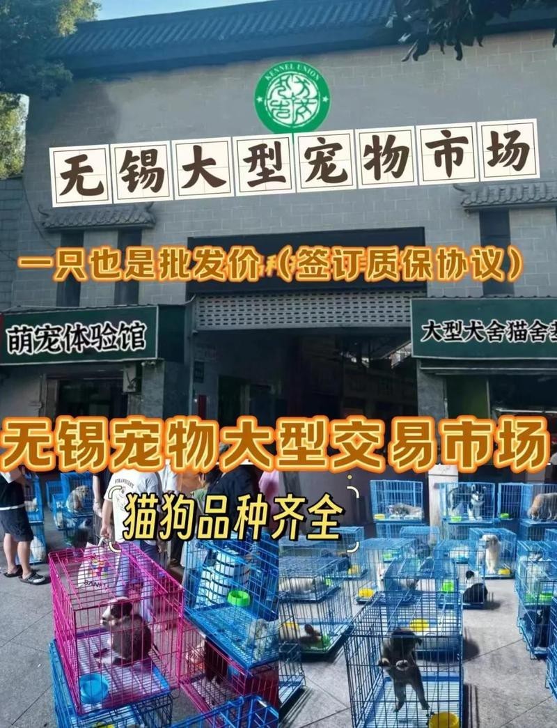 無錫龍魚寄養