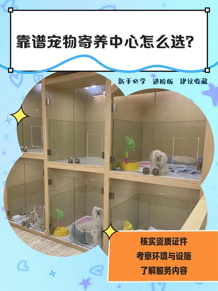 無錫龍魚寄養