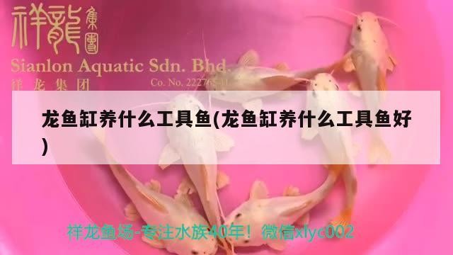 吉林市船營區桃源七彩燕魚繁殖中心（吉林市船營區桃源七彩燕魚繁殖中心電話）