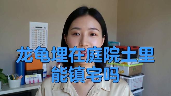 宅基地埋龍龜好不好