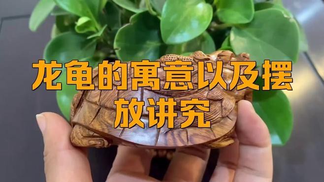宅基地埋龍龜好不好