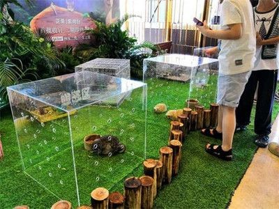 海馬魚缸養殖方法：根據搜索結果整理的海馬魚缸養殖方法：根據搜索結果整理海馬魚缸養殖方法