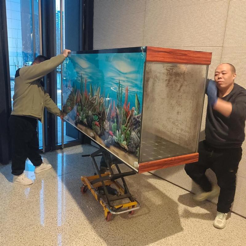 杭州龍魚(yú)打包公司