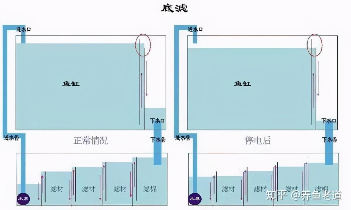 底濾魚缸防止溢流的方法主要有以下幾種方法來防止溢流：底濾魚缸如何防止溢流