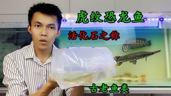 <strong><mark>濉溪</mark></strong>縣開發區友誼水族館（<strong><mark>濉溪</mark></strong>縣開發區友誼水族館電話）