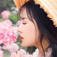 蝴蝶魚寓意